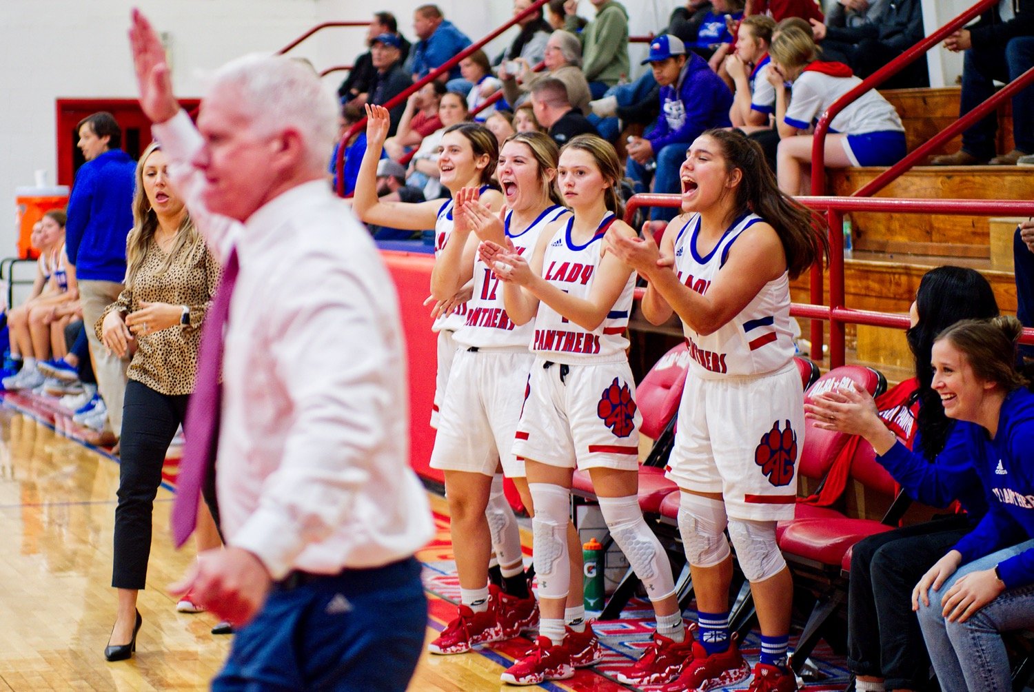 The Lady Panther bench applauds a valiant effort to close the third quarter. [see more shots, buy basketball photos]